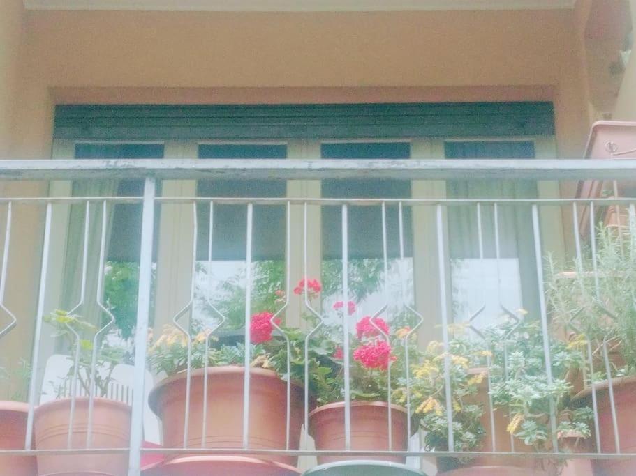 Ampi Spazi, A Piedi In Centro. Apartment Treviso Exterior foto